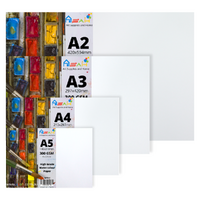A2, A3, A4 & A5 Watercolour Paper Set 300gsm 80 Sheets Acid Free Bundle