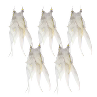 5x Pairs of White 20cm Feather Earrings with Silver Beads, Costume Accessory