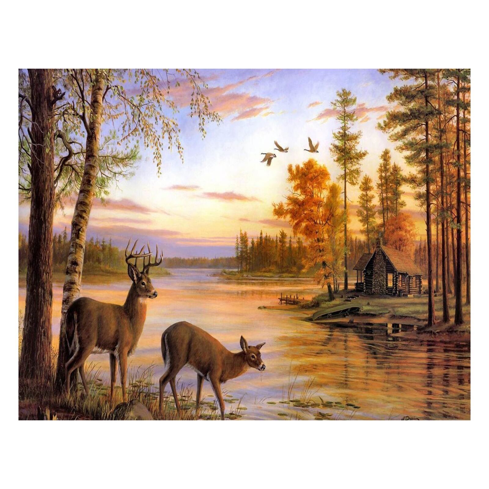 Diamond Art Painting Kit on Stretched Canvas, Forest