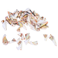 1pce 200g Bag of Sea Shells - Red Mouth Rock Shell 2cm-3cm Decretive / Craft