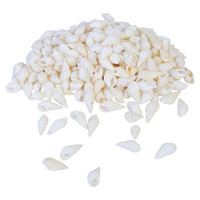 1pce 200g Bag of Sea Shells White Rice Grains Snail Shell 2cm to 3cm Craft
