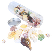  Mixed Assorted Shells Selection in Plastic Jar 21.5cmx6cm Diameter Craft