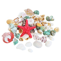1pce 200g of Mixed Shells in Mesh Bag Decretive / Craft Shell