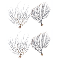 4pce 15cm - 25cm Sea Fans /Fern for Shadow Boxes or Creating Amazing Wall Art