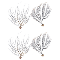 4pce Gorgonian Sea Fans Extra Small Natural Dried Coral Branches, Wall Art 20cm Set