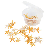 50 Small Sun Star Fish Shells Pack for Craft and Beach Decor 1cm to 2 cm