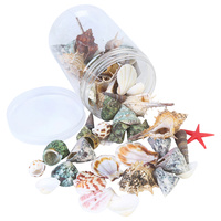 1pce Mixed Assorted Shells Selection in Plastic Jar 8.5x12cm Decorative