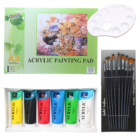 Acrylic Painting Art Set 9 Brushes, 6 Intro Colour 75ml Tubes, A3 Pad 300gsm