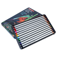 Superior 12pce Artist Colour Pencils In Metal Tin