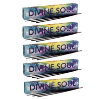 6 x Boxes of 15g New Moon Incense Sticks 15gms Divine Soul Bulk Pack, Quality Zen
