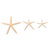5pce Finger Starfish Bleached White Nautical Theme with Beach Look