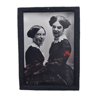 Vampire Sisters 48cm Framed 3D Vintage Horror Scary Print Illusion Halloween