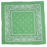 Bandana - Mid Green Classic Modern Paisley 100% Cotton 55x55cm
