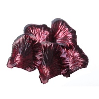 240 Metallic Burgundy Rose Petals 5x5cm, Weddings,Valentines Day,Party Theme