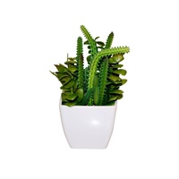 20x9cm Artificual Succulents and Cactus in White Pot Realistic with Pebbles M168