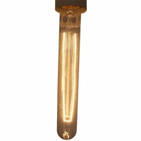 Edison vintage light bulb / globe tubular 21.5cm lamp, E27 screw 40 watt - ED002