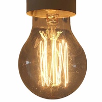 Edison vintage light bulb / globe traditional lamp, E27 screw 40 watt - ED011