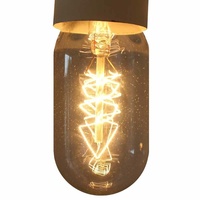 Edison vintage light bulb / globe tubular lamp, E27 screw 40 watt - ED012