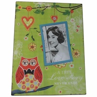 35cm Green Owl Metal Magnetic Photo / Picture Frame Hanging Vintage Style
