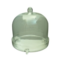 Medium 22cm Vintage Style Glass Cake, Muffin, Sweets Display with Lid 2pce Set