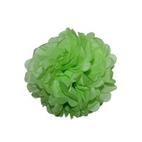 24pce 30cm Light Green Tissue Paper Pompom for Weddings, Birthday, Xmas Events