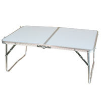 Foldable Table White Small 60x40x25cm Lightweight & Portable for Picnics & Camping