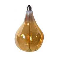 Edison LED Light Globe Irregular 4 Watt Filament Bulb 25cm E27 Amber Warm White