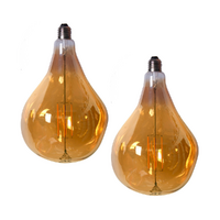 Pair of Edison LED Light Globes Irregular 4 Watt Filament Bulbs 25cm, Set of 2