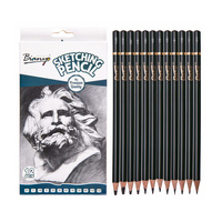 12pce Quality Sketching Graphite Pencils 12 Different Types HB 2B & MORE