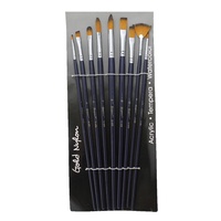 Premium 9pce Multi Function Taklon Brush Sets Pack Variety for Painting