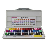 Macaron 48 Colour Professional Solid Watercolour Cake Paint Set