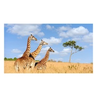 African Giraffe - Paint by Numbers Canvas Art Work DIY 40cm x 50cm