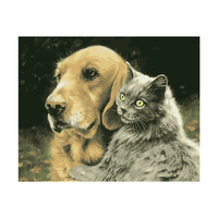 Dog and Grey Cat Paint by Numbers Canvas Art Work DIY 40cm x 50cm