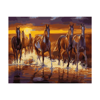 Wild Horses Galloping Sunset Paint by Numbers Canvas Art Work DIY 40cm x 50cm
