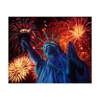 American Statue of Liberty Paint by Numbers Canvas Art Work DIY 40cm x 50cm