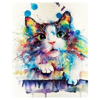 Rainbow Crazy Cat Paint by Numbers Canvas Art Work DIY 40cm x 50cm