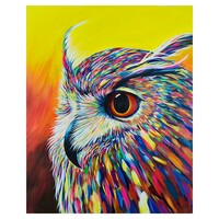 Rainbow Owl Head Paint by Numbers Canvas Art Work DIY 40cm x 50cm