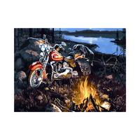Red Motorbike Campsite Fire Paint by Numbers Canvas Art Work DIY 40cm x 50cm