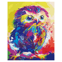 Rainbow Owl Abstract Paint by Numbers Canvas Art Work DIY 40cm x 50cm