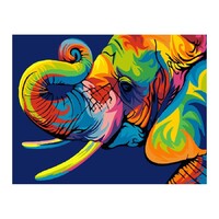 Rainbow Elephant Side View Paint by Numbers Canvas Art Work DIY 40cm x 50cm