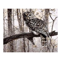 Owl on Branch Paint by Numbers Canvas Art Work DIY 40cm x 50cm