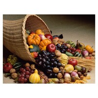 Basket of Fruit Diamond Art Painting Kit Set DIY 40cm x 50cm