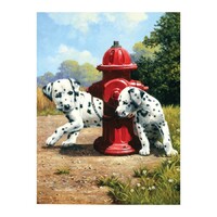 Dalmatians Playing Fire Hydrant Diamond Art Painting Kit Set DIY 40cm x 50cm