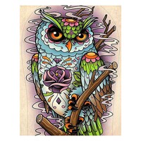Abstract Owl Colourful Diamond Art Painting Kit Set DIY 40cm x 50cm