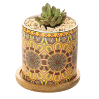 Pot Planter Ceramic Yellow Retro Circles Round Flower for Succulents & Herbs 7cm