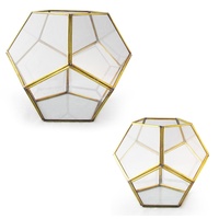 Pentagonal Honeycomb Hand Made Terrarium Made with a Brass Frame and Glass Walls