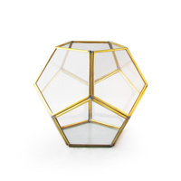 Pentagonal Honeycomb Hand Made Terrarium Made with a Brass Frame and Glass Walls 15cm