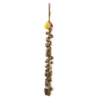 40cm x 4cm Nest of Snail Shells, Tropical & Brown Tones, Connected by Rope, Beach Theme