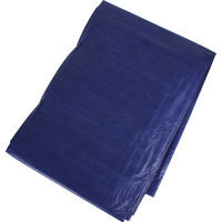 New 1pce Tarpaulin Blue 90GSM 3.6X4.8M 11.81FT X 15.748FT Tarp