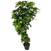 New 1pce 120cm Desert Rose Realistic Plant Greenery Décor Artifical Large in Pot